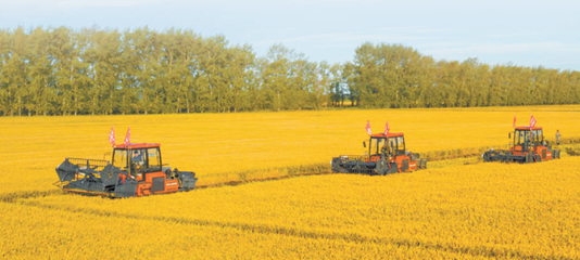 “崇尚劳动、热爱劳动、辛勤劳动、诚实劳动”,这16个字是对劳动精神的高度概括和生动诠释,为新时代坚持和弘扬劳动精神指明了方向,提供了遵循。