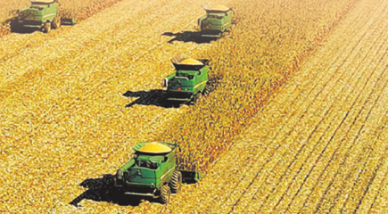 从亘古荒原到“中华大粮仓”,几代农垦人战天斗地,锻造出“艰苦奋斗、勇于开拓、顾全大局、无私奉献”的北大荒精神。如今的北大荒,黑土地生机勃勃,大型联合收割机隆隆轰鸣,迎接着一个又一个丰收年景。